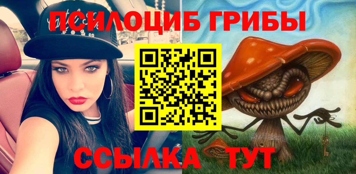 Борисоглебск  купить   Вход с VPN  Галлюциногенные грибы Psilocybe 